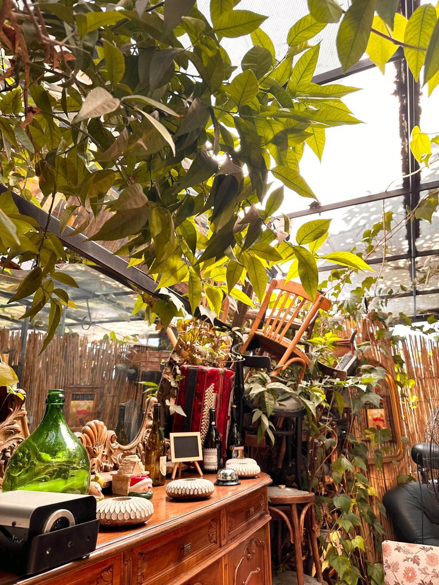 Divina Hostel ติรานา ภายนอก รูปภาพ